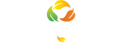 Logo of Central Park Fleur Villas at Flower Valley Gurgaon